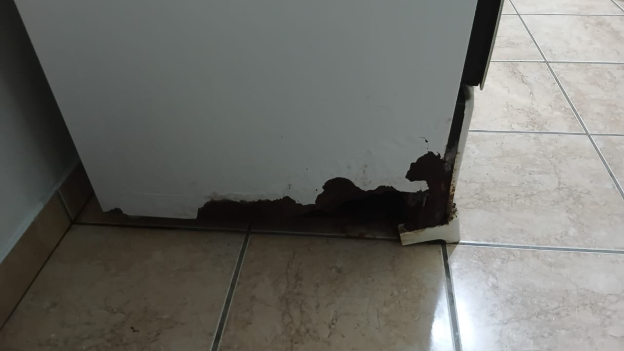 Fogão